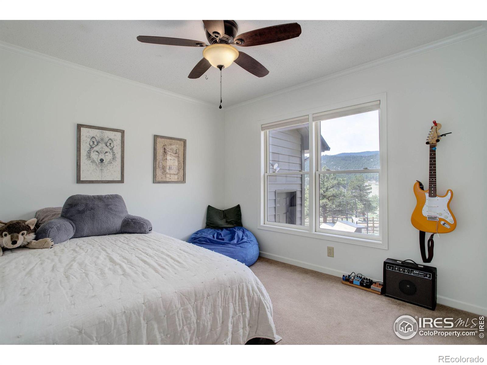 MLS Image #19 for 1553  rowell drive,lyons, Colorado