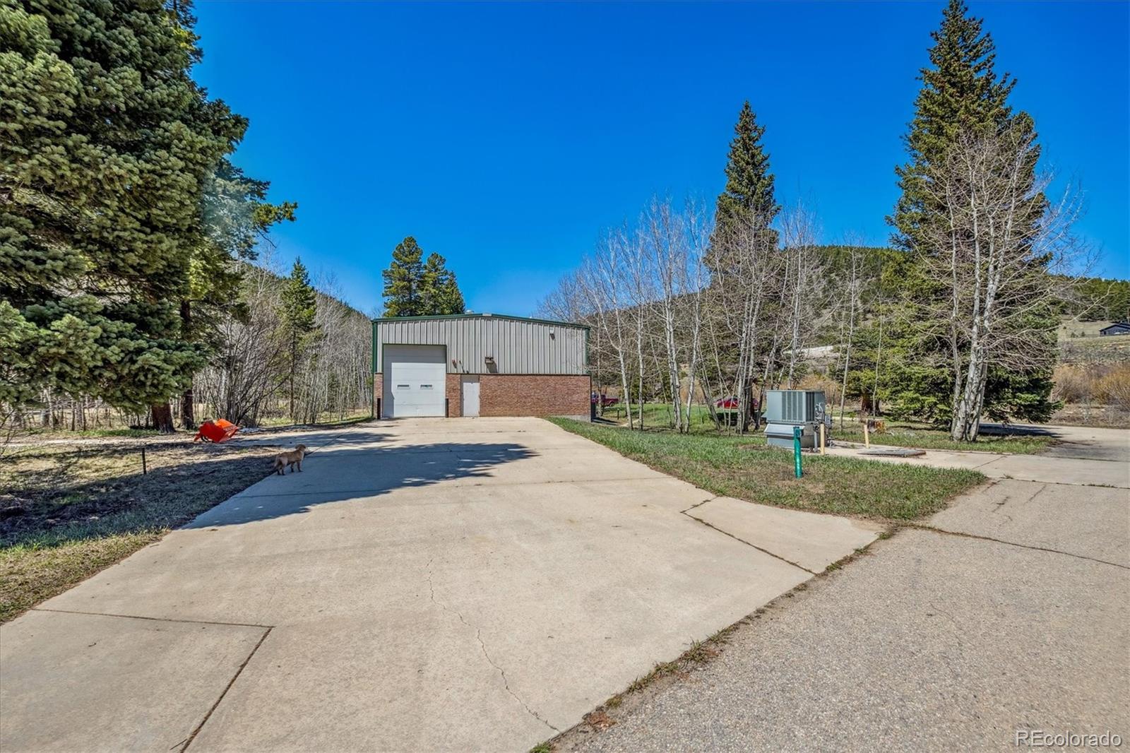 MLS Image #20 for 1350  tolland road,rollinsville, Colorado