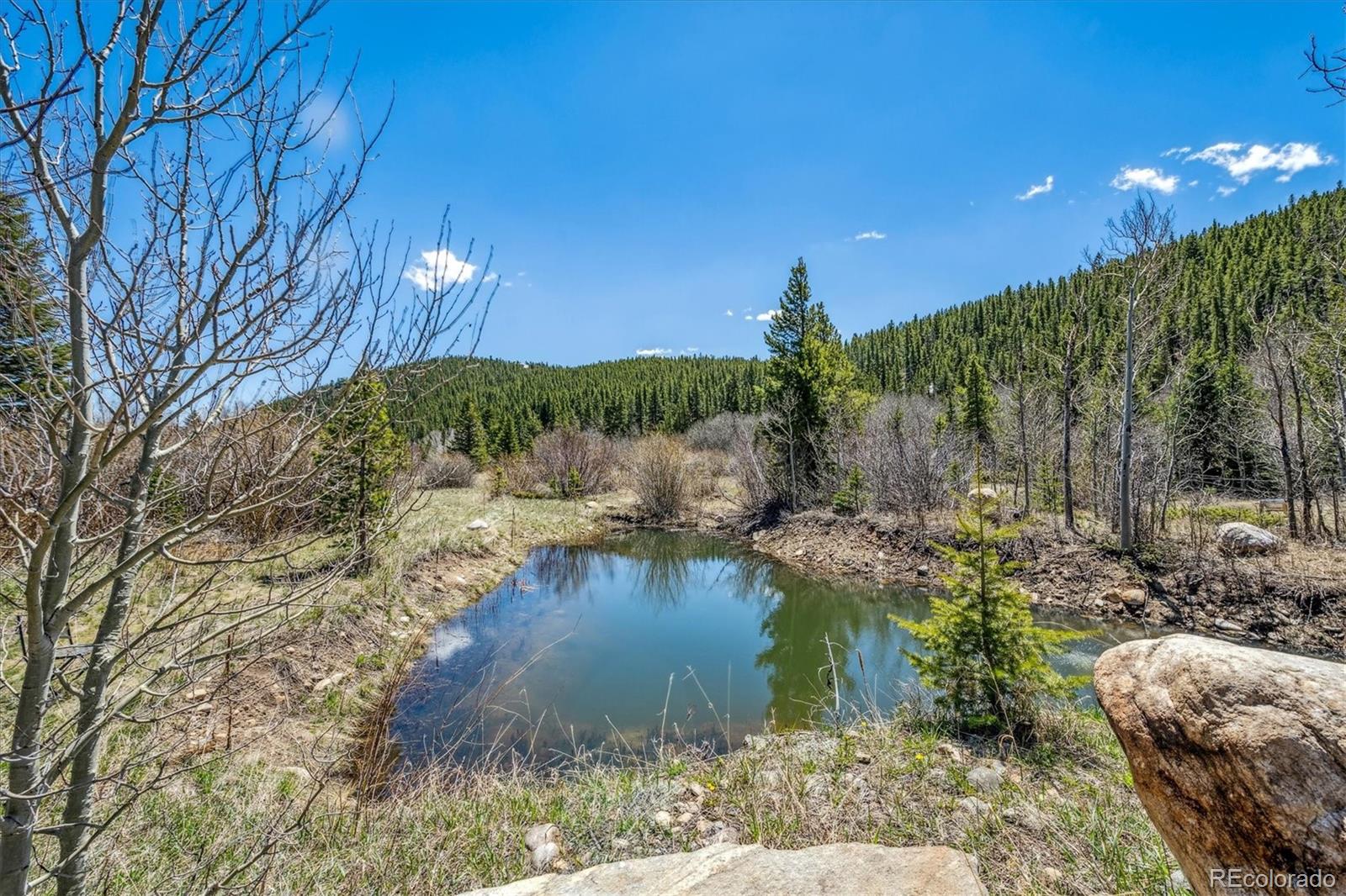 MLS Image #30 for 1350  tolland road,rollinsville, Colorado