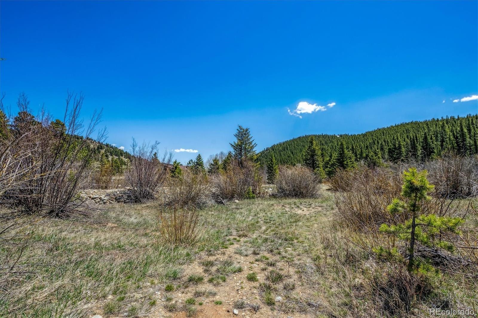 MLS Image #32 for 1350  tolland road,rollinsville, Colorado