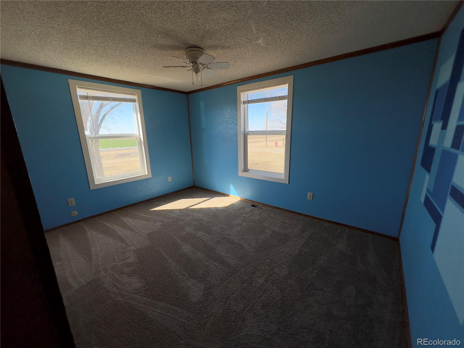 MLS Image #8 for 310 s lincoln avenue,olney springs, Colorado