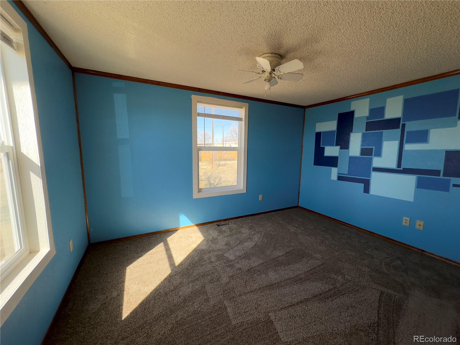 MLS Image #9 for 310 s lincoln avenue,olney springs, Colorado