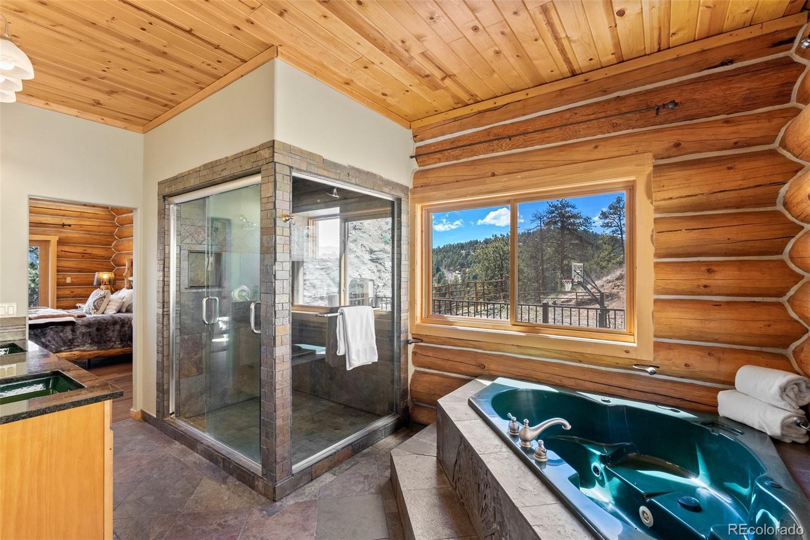 MLS Image #25 for 217 n hill drive,bailey, Colorado