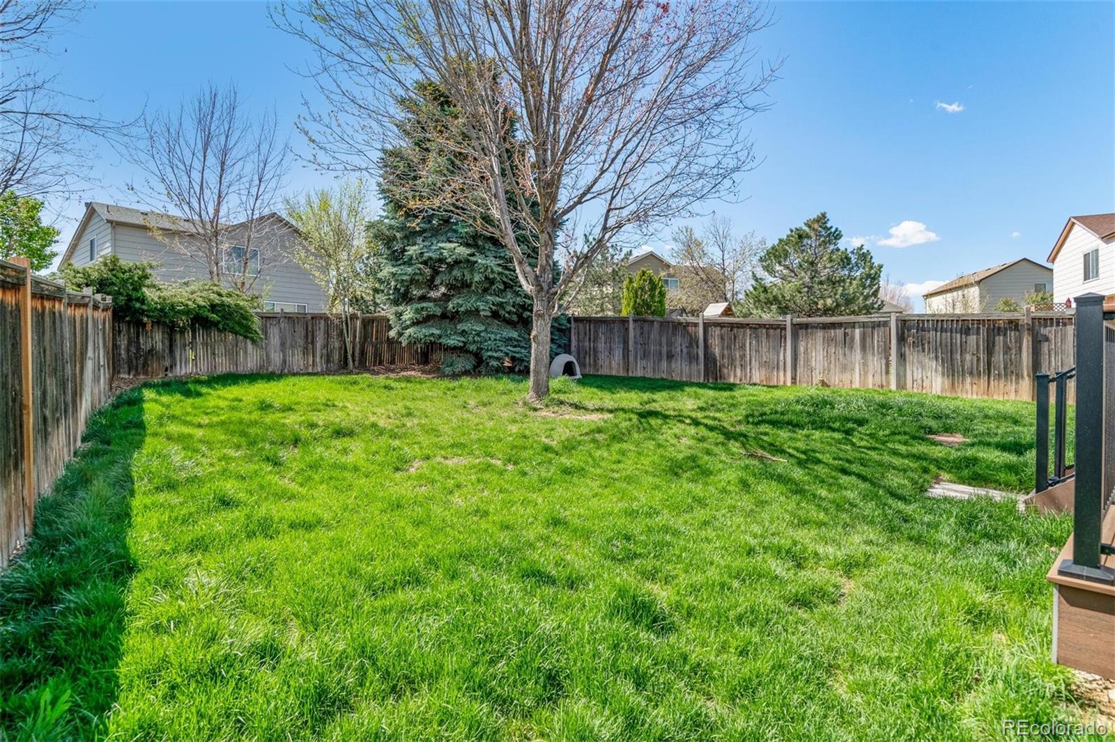 MLS Image #27 for 3800  morning glory drive,castle rock, Colorado