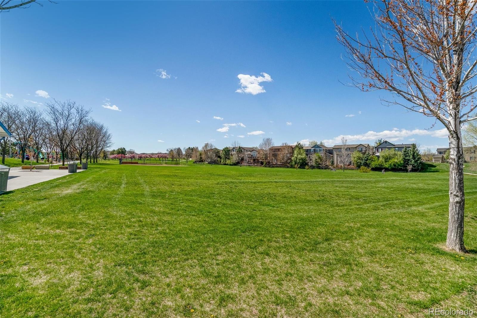MLS Image #34 for 3800  morning glory drive,castle rock, Colorado