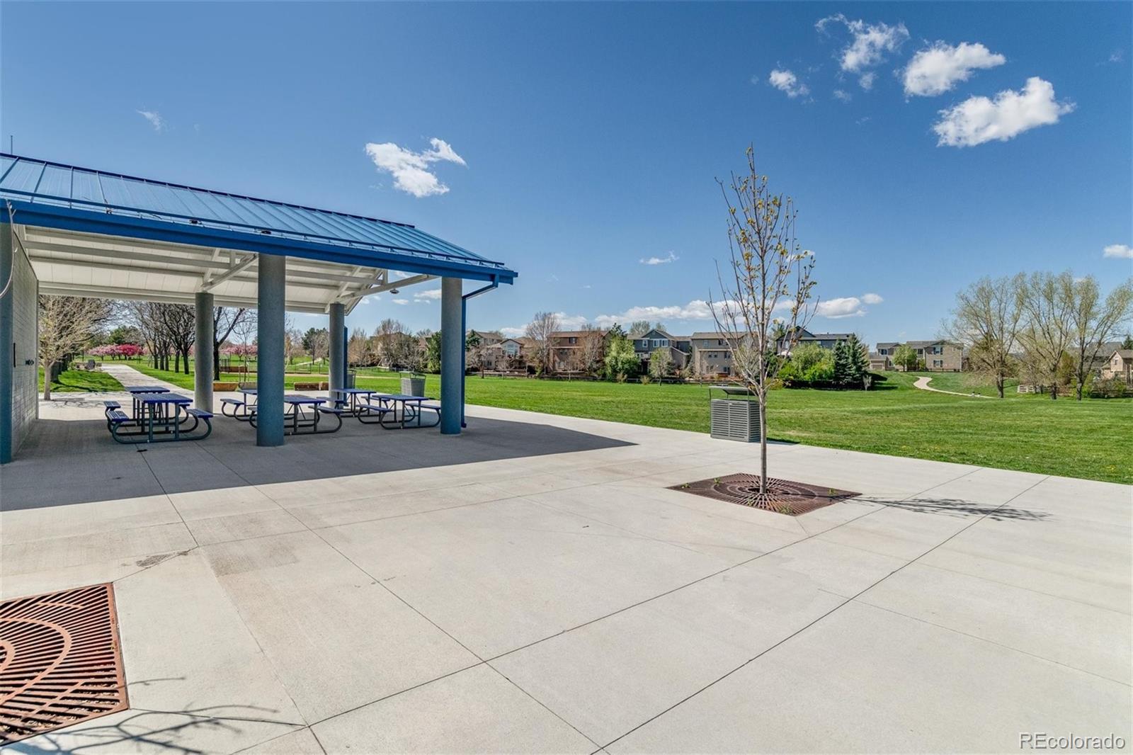 MLS Image #35 for 3800  morning glory drive,castle rock, Colorado