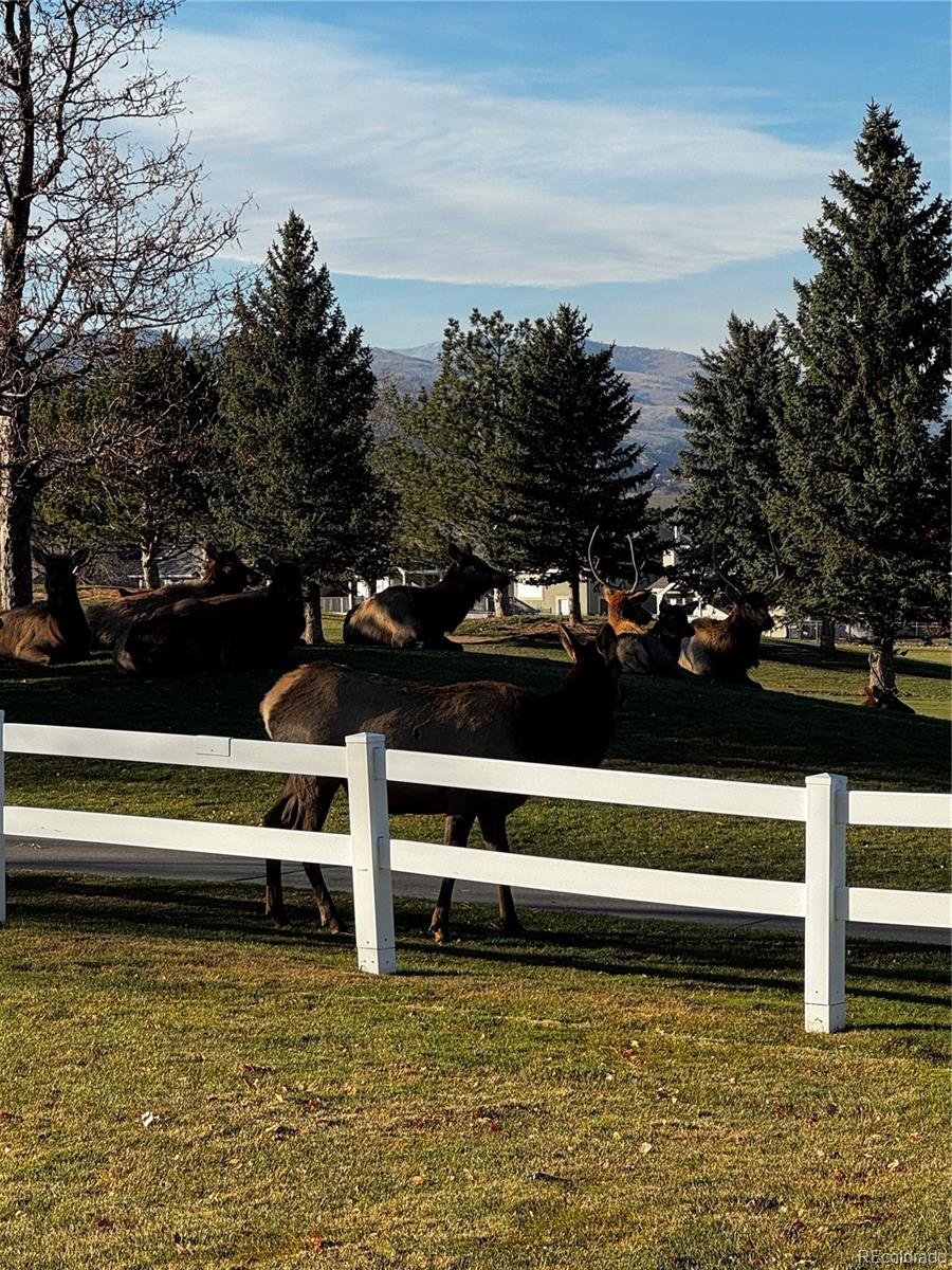 MLS Image #43 for 443  clubhouse court,loveland, Colorado