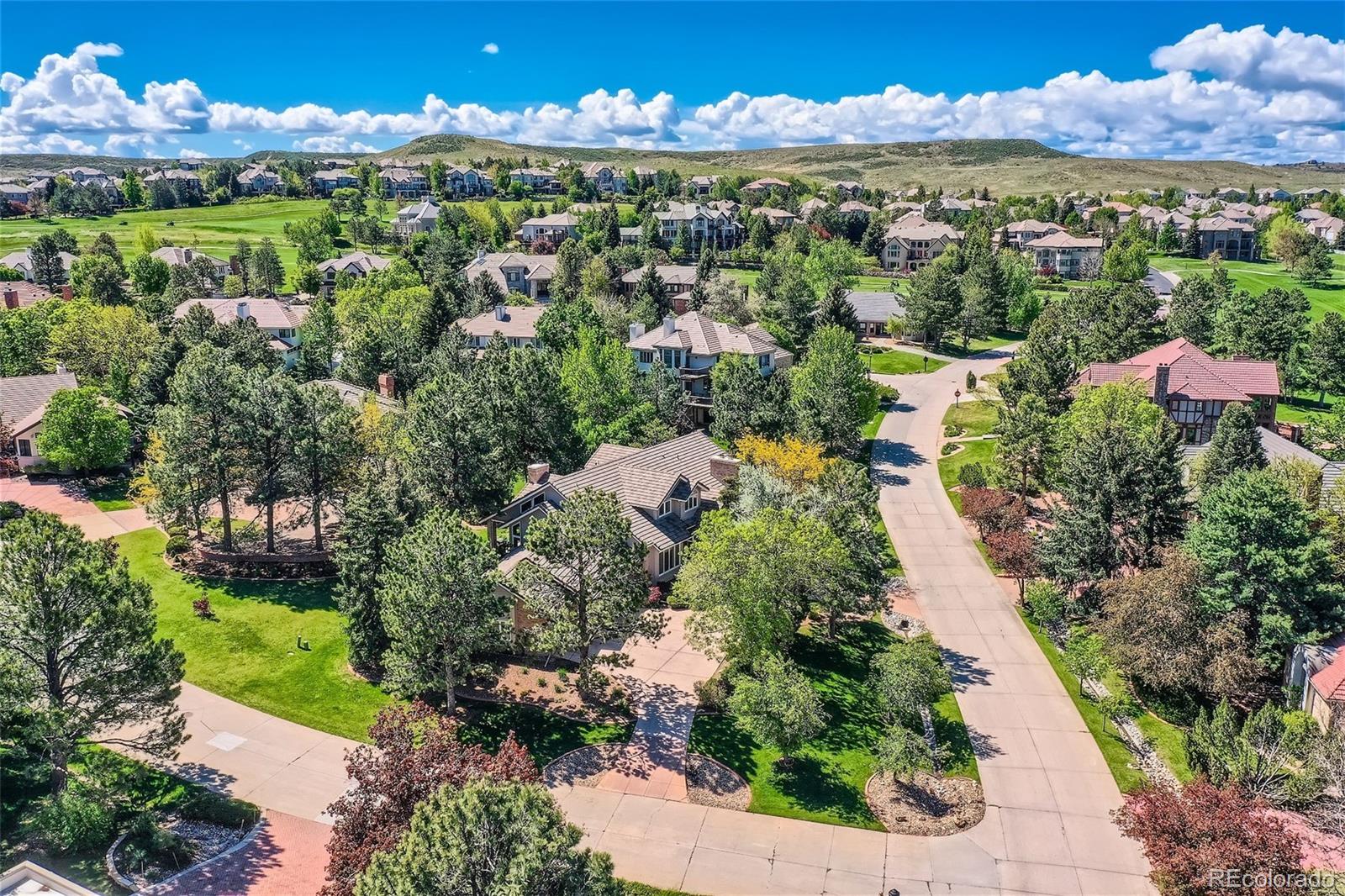 MLS Image #3 for 8332  augusta place,lone tree, Colorado