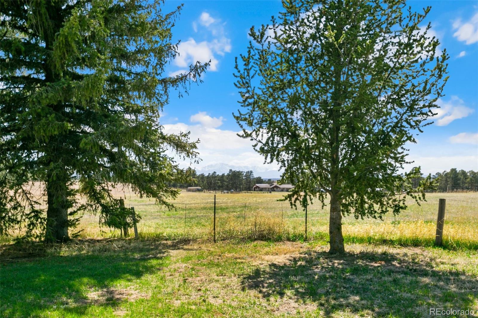 MLS Image #44 for 12990  mccune road,elbert, Colorado