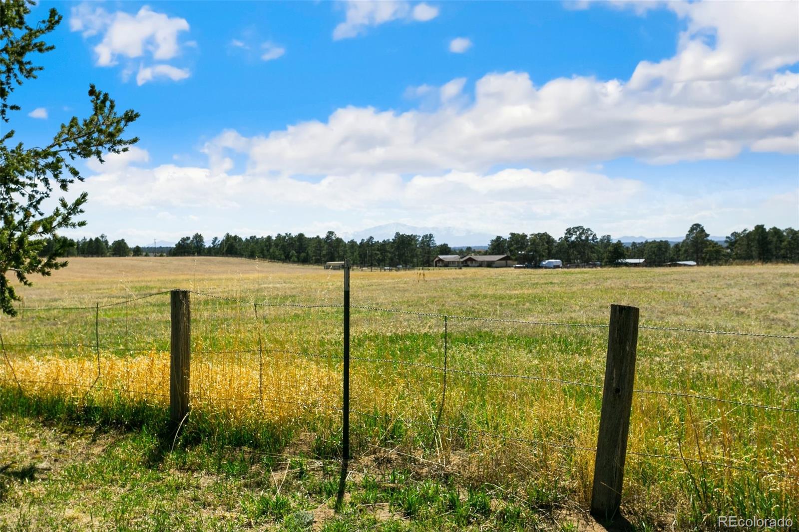 MLS Image #47 for 12990  mccune road,elbert, Colorado