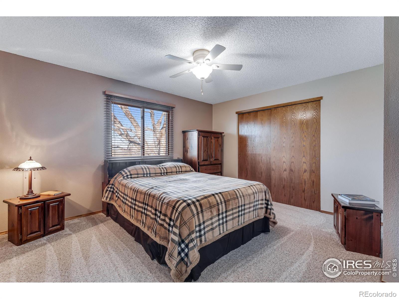MLS Image #21 for 5100  thistle place,loveland, Colorado