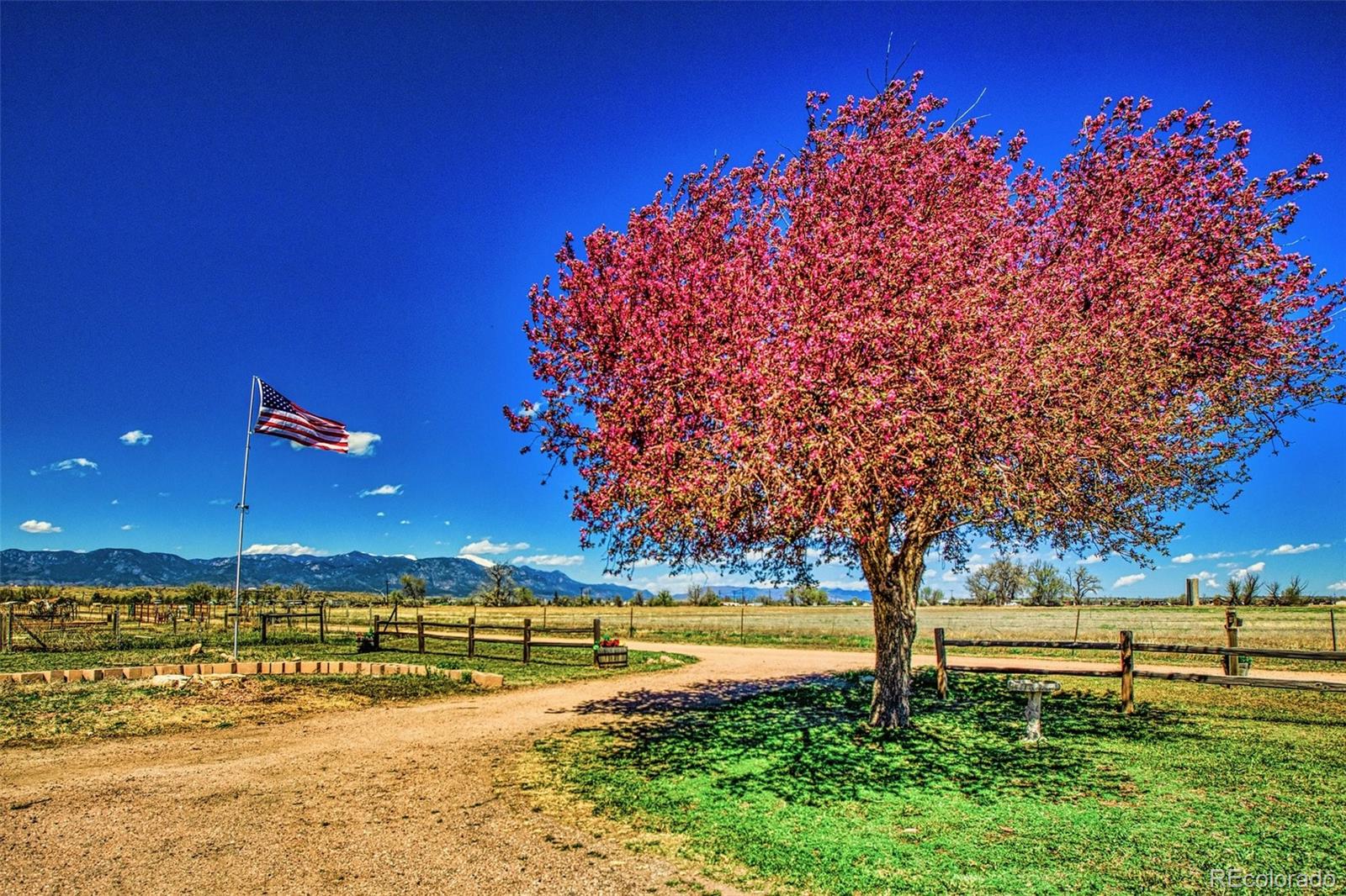 MLS Image #33 for 12790  gould road,fountain, Colorado