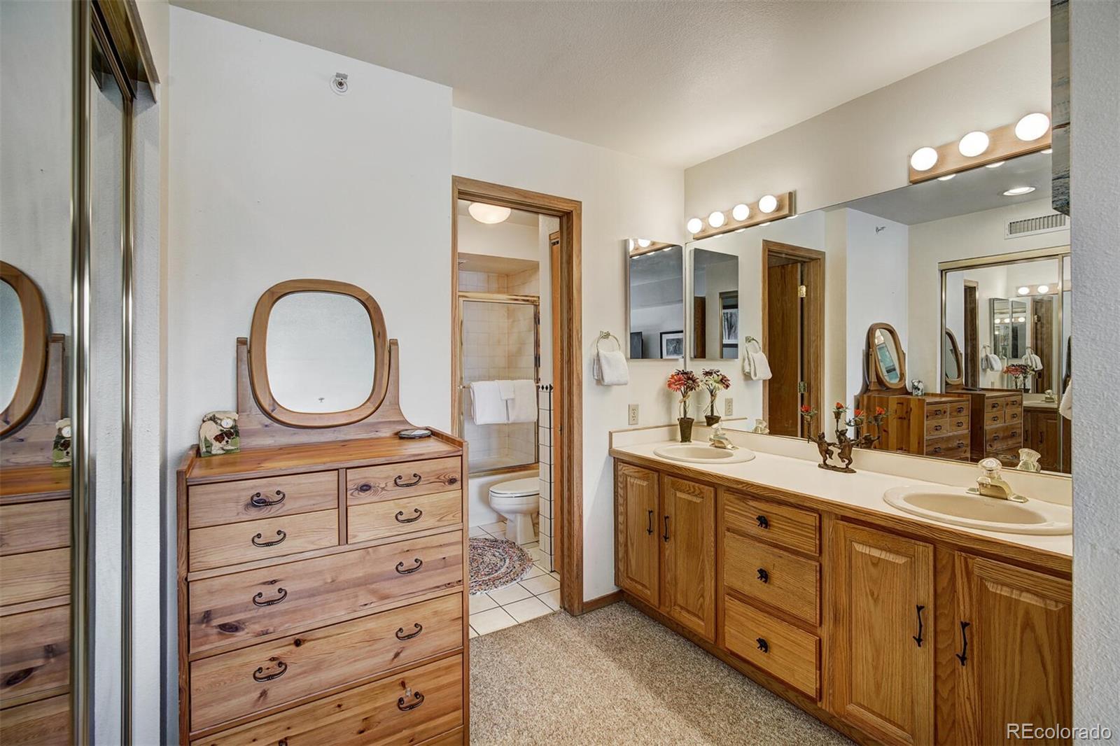 MLS Image #10 for 1610  lakeview terrace,frisco, Colorado