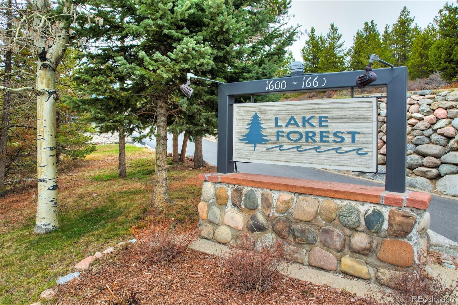 MLS Image #19 for 1610  lakeview terrace,frisco, Colorado