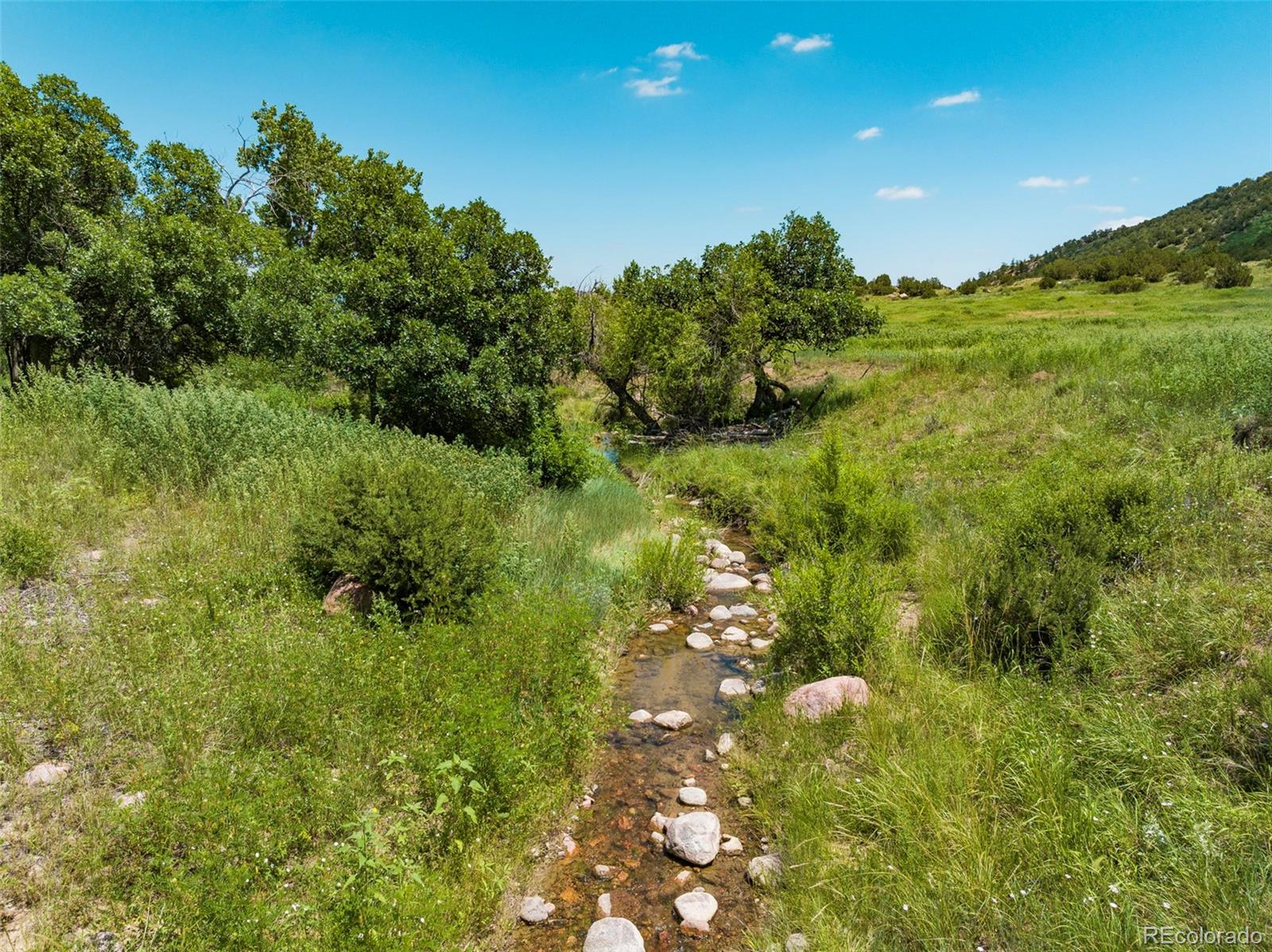 MLS Image #6 for 3605  county road 78 ,florence, Colorado