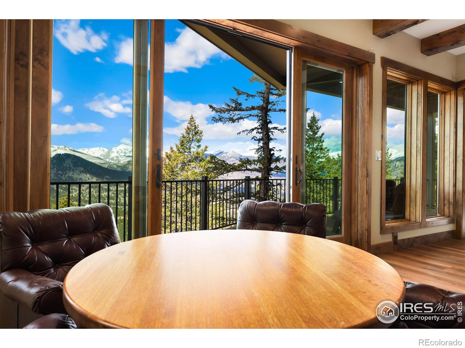 MLS Image #19 for 1475  st moritz trail,estes park, Colorado