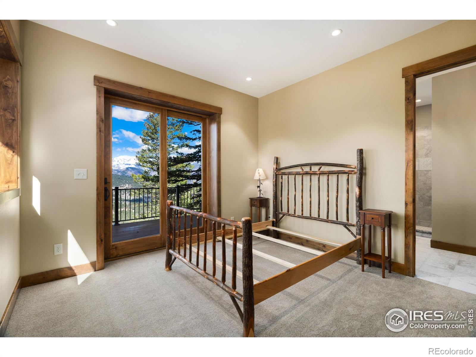 MLS Image #26 for 1475  st moritz trail,estes park, Colorado