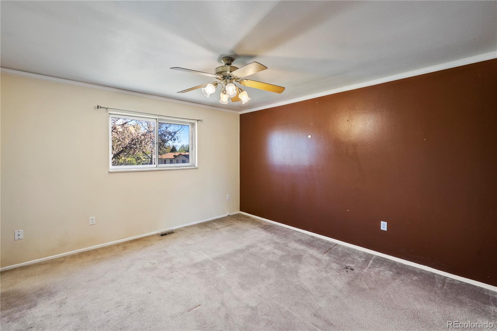 MLS Image #11 for 4507  misty drive,colorado springs, Colorado