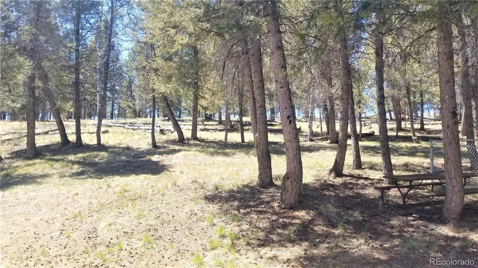 MLS Image #14 for 7891  county road 25 ,powderhorn, Colorado