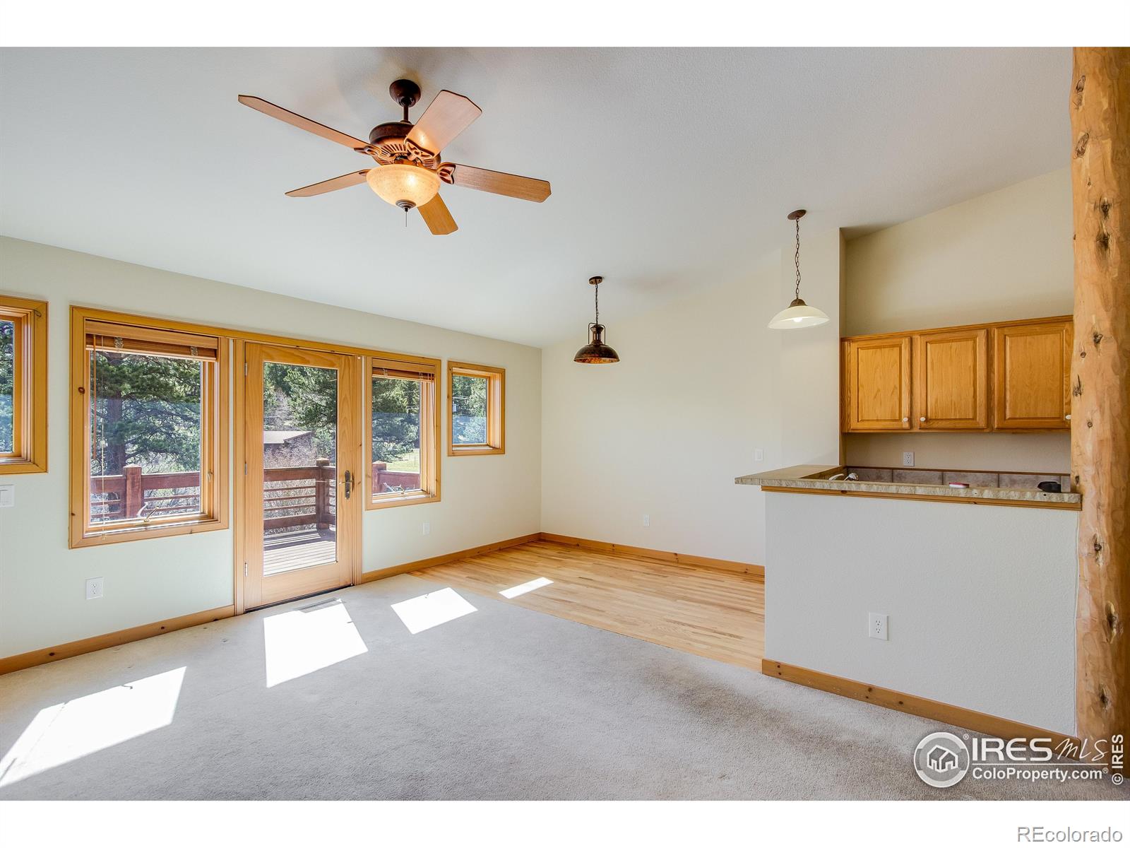 MLS Image #14 for 520  riverrock circle,estes park, Colorado