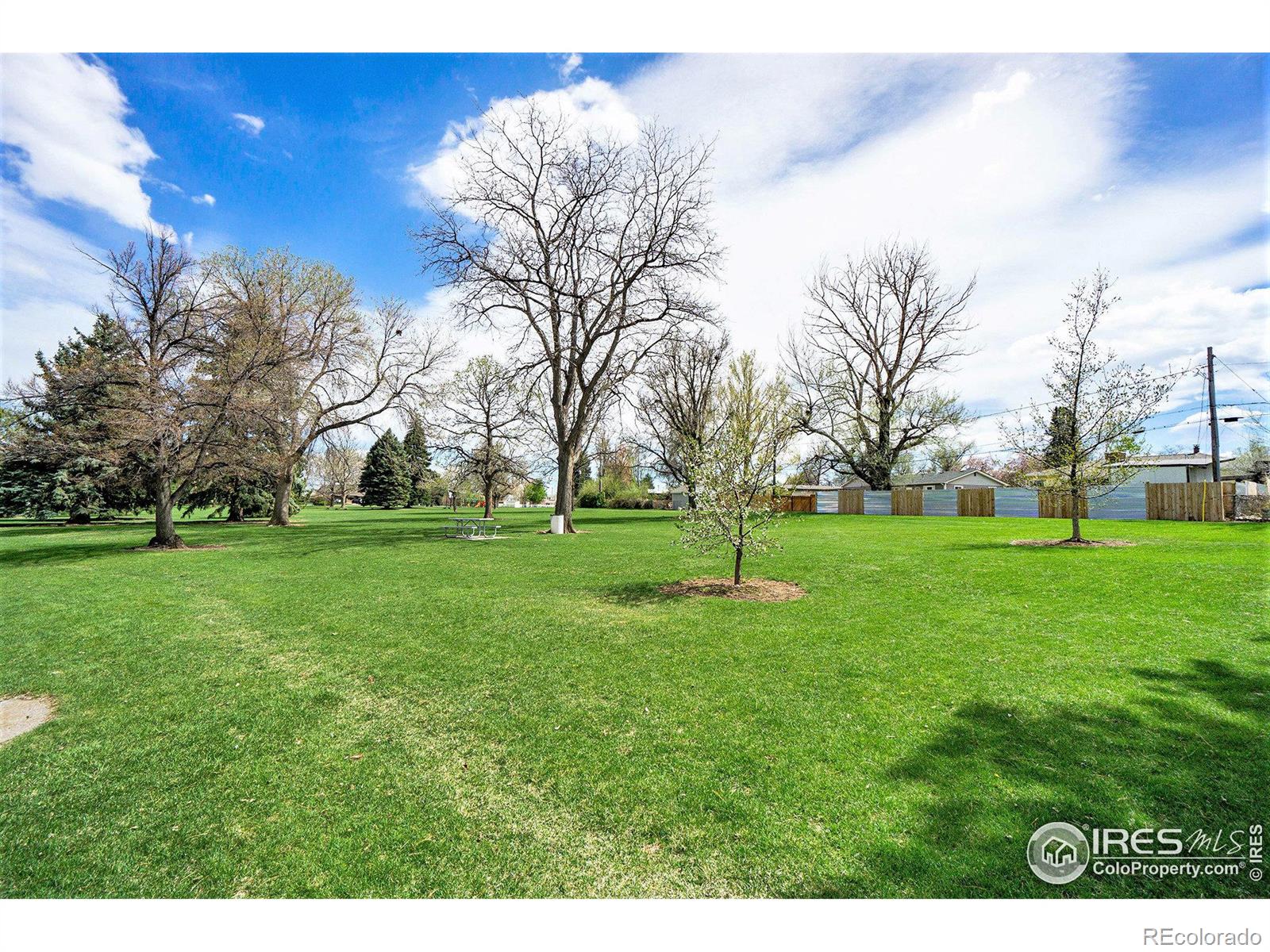 MLS Image #33 for 2433  pitch pine court,loveland, Colorado