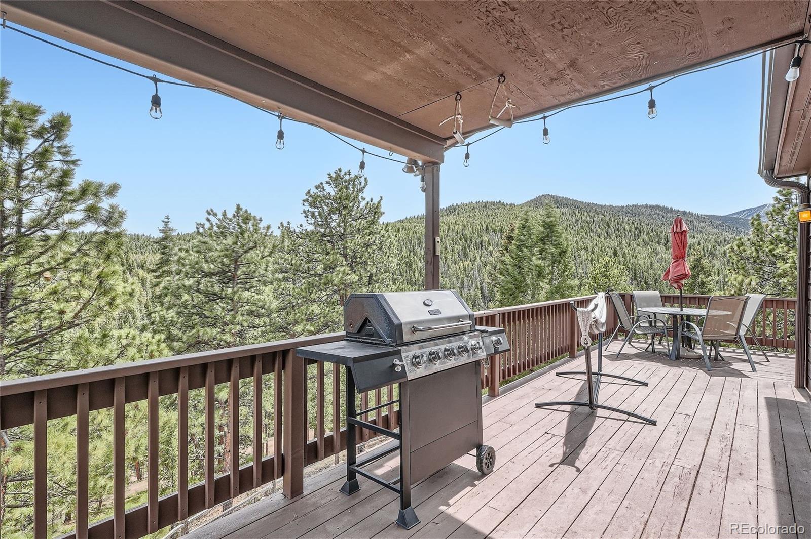 MLS Image #29 for 7221 s brook forest road,evergreen, Colorado