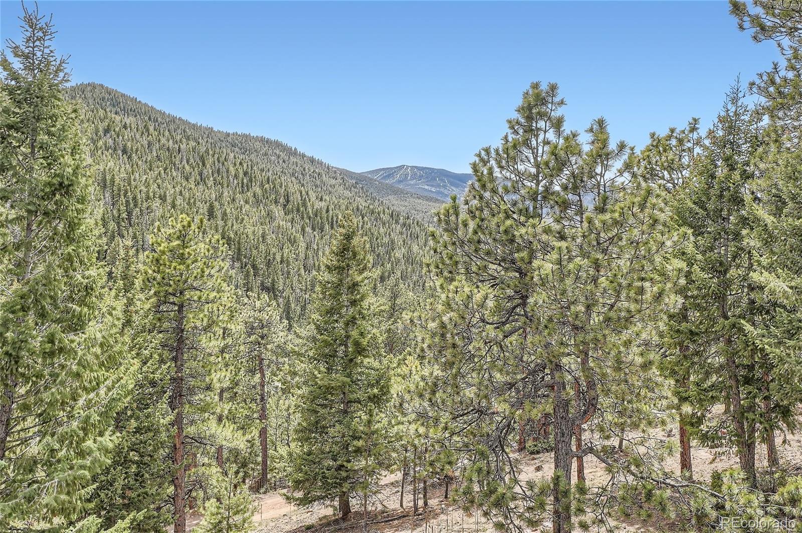 MLS Image #34 for 7221 s brook forest road,evergreen, Colorado