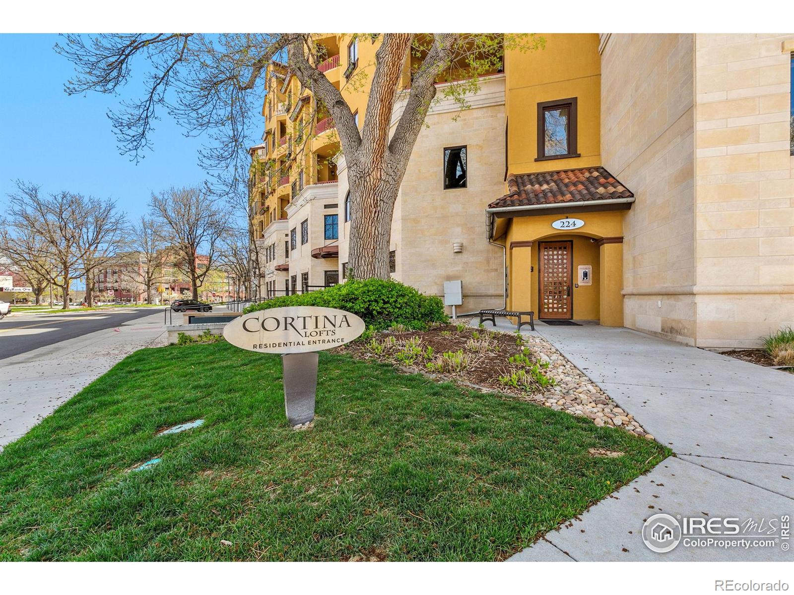 MLS Image #2 for 224  canyon avenue,fort collins, Colorado