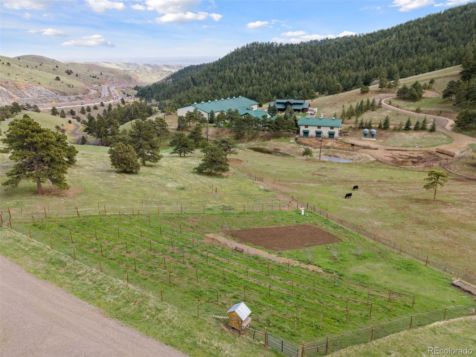 MLS Image #21 for 1044 s grapevine road,golden, Colorado