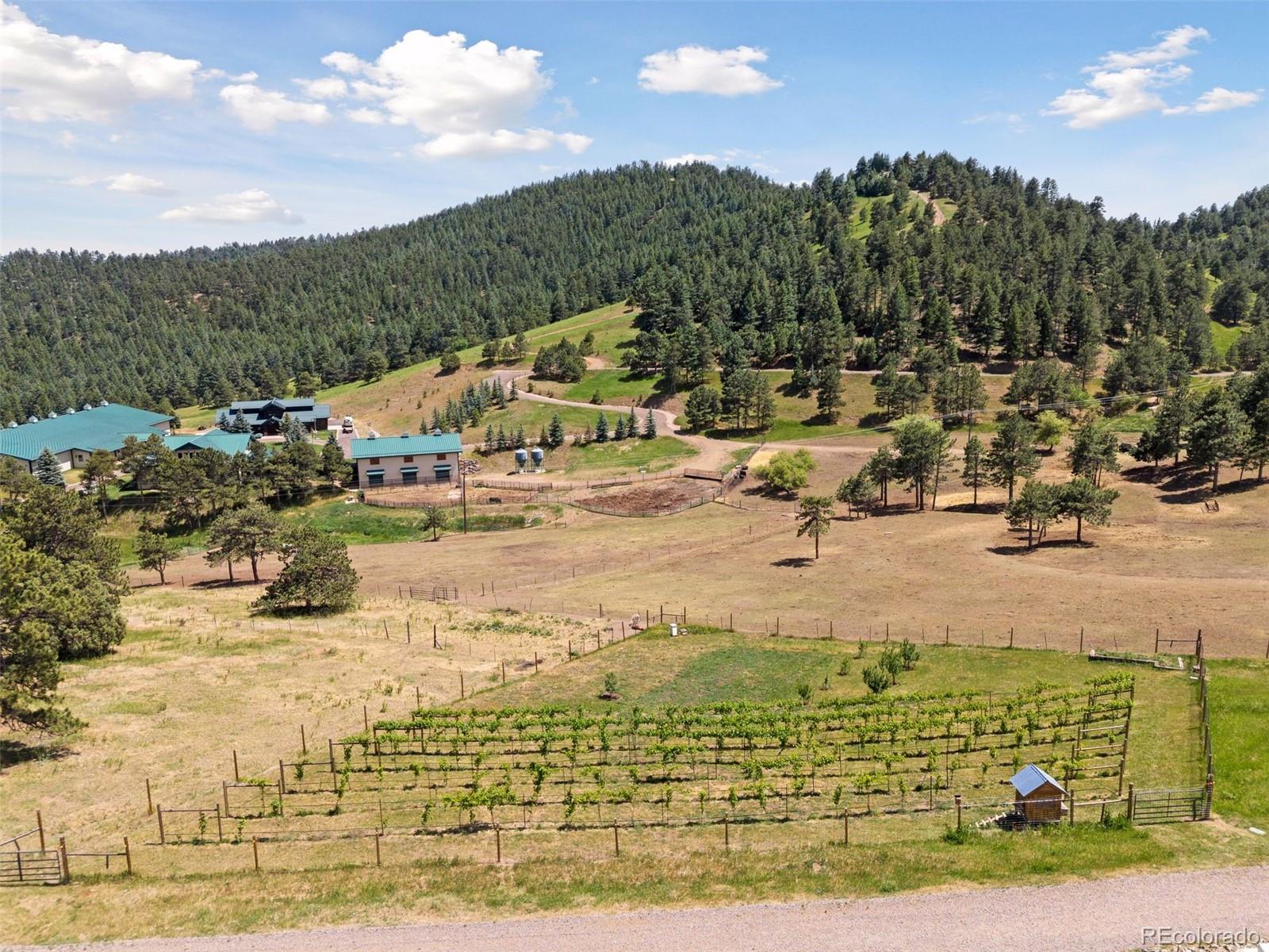 MLS Image #41 for 1044 s grapevine road,golden, Colorado