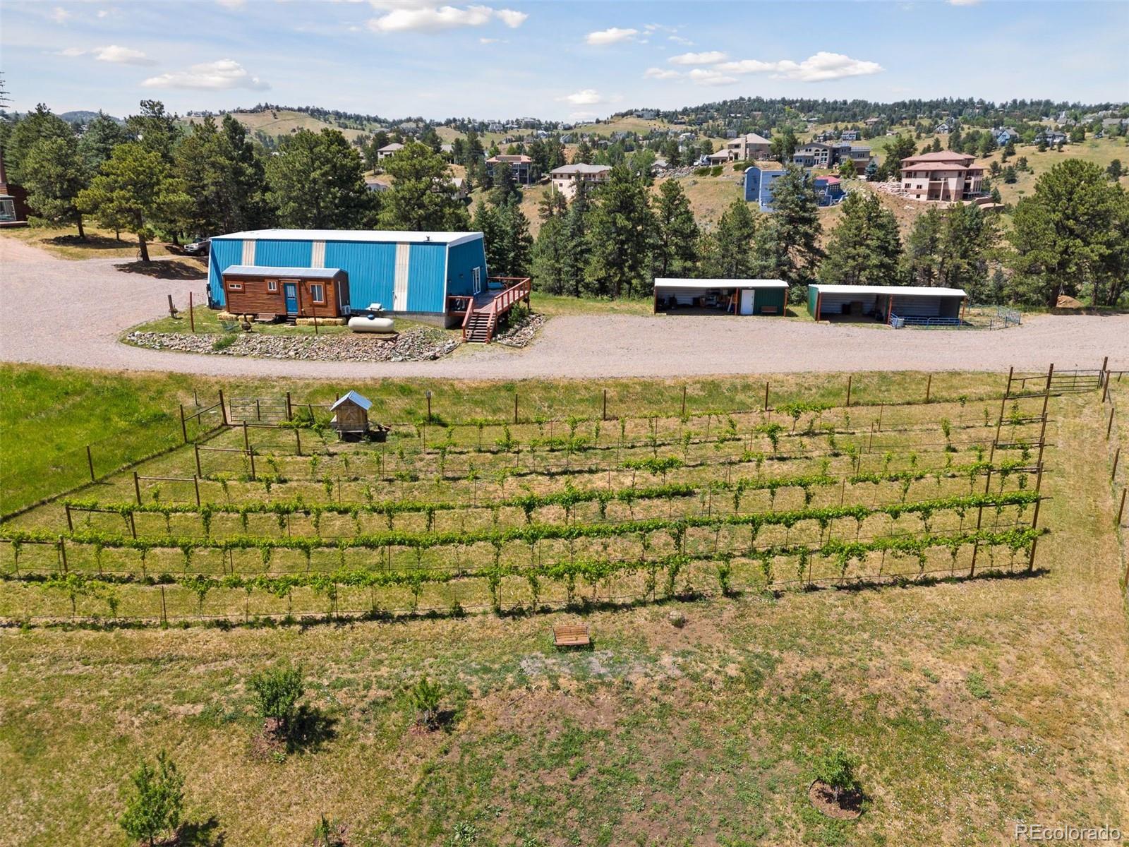 MLS Image #8 for 1044 s grapevine road,golden, Colorado