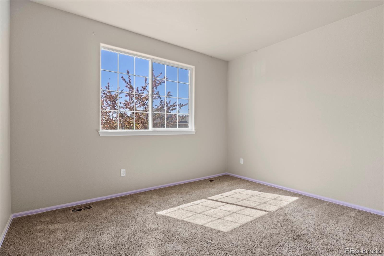 MLS Image #23 for 1011  mt oxford avenue,severance, Colorado