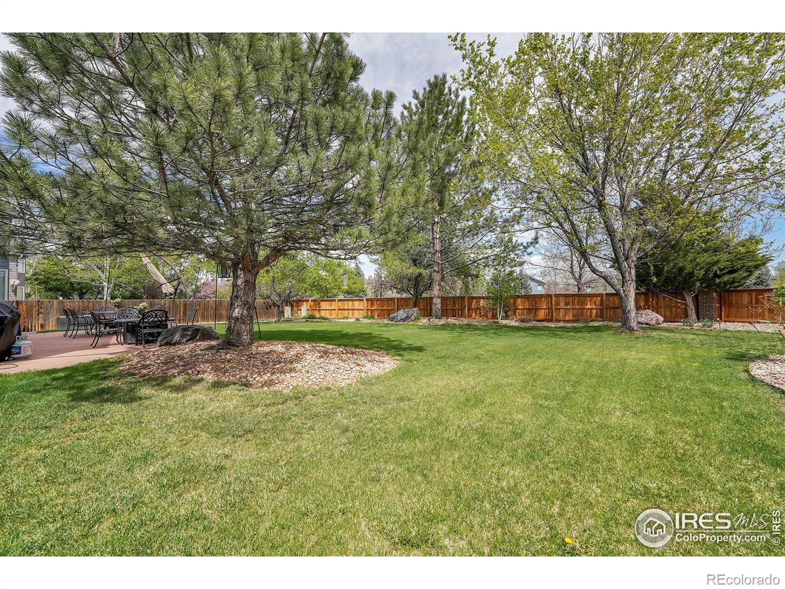 MLS Image #29 for 1564  daily drive,erie, Colorado