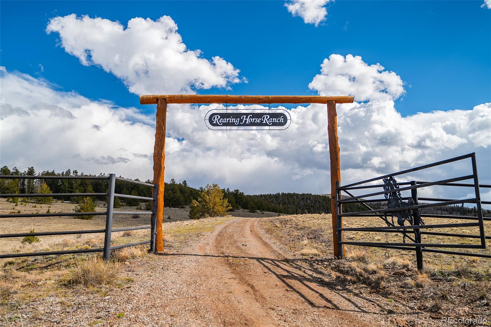 MLS Image #1 for 3498  county road 116 ,hartsel, Colorado