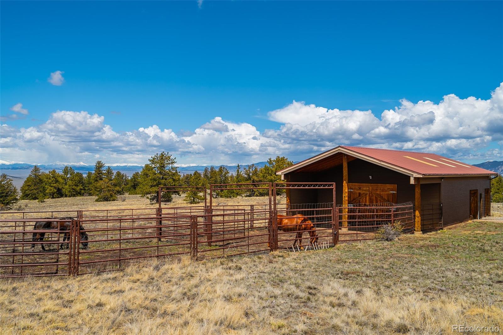 MLS Image #11 for 3498  county road 116 ,hartsel, Colorado