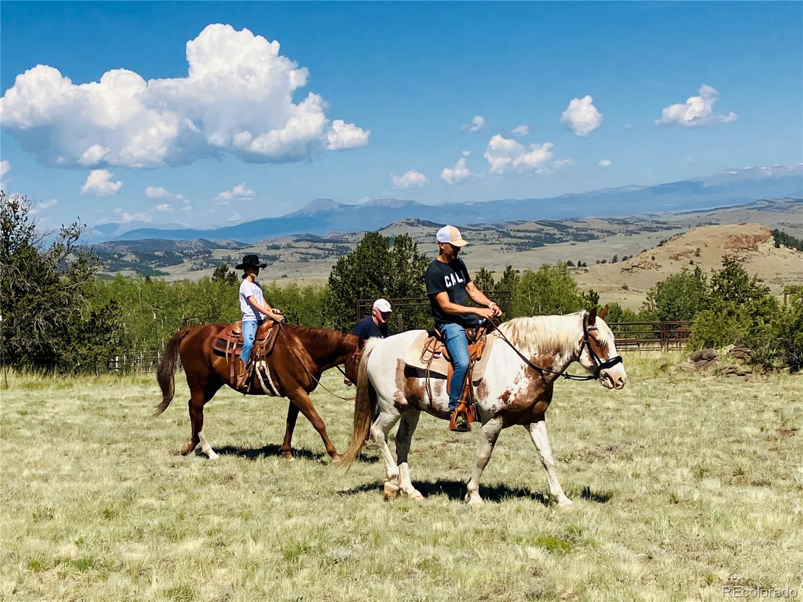 MLS Image #14 for 3498  county road 116 ,hartsel, Colorado