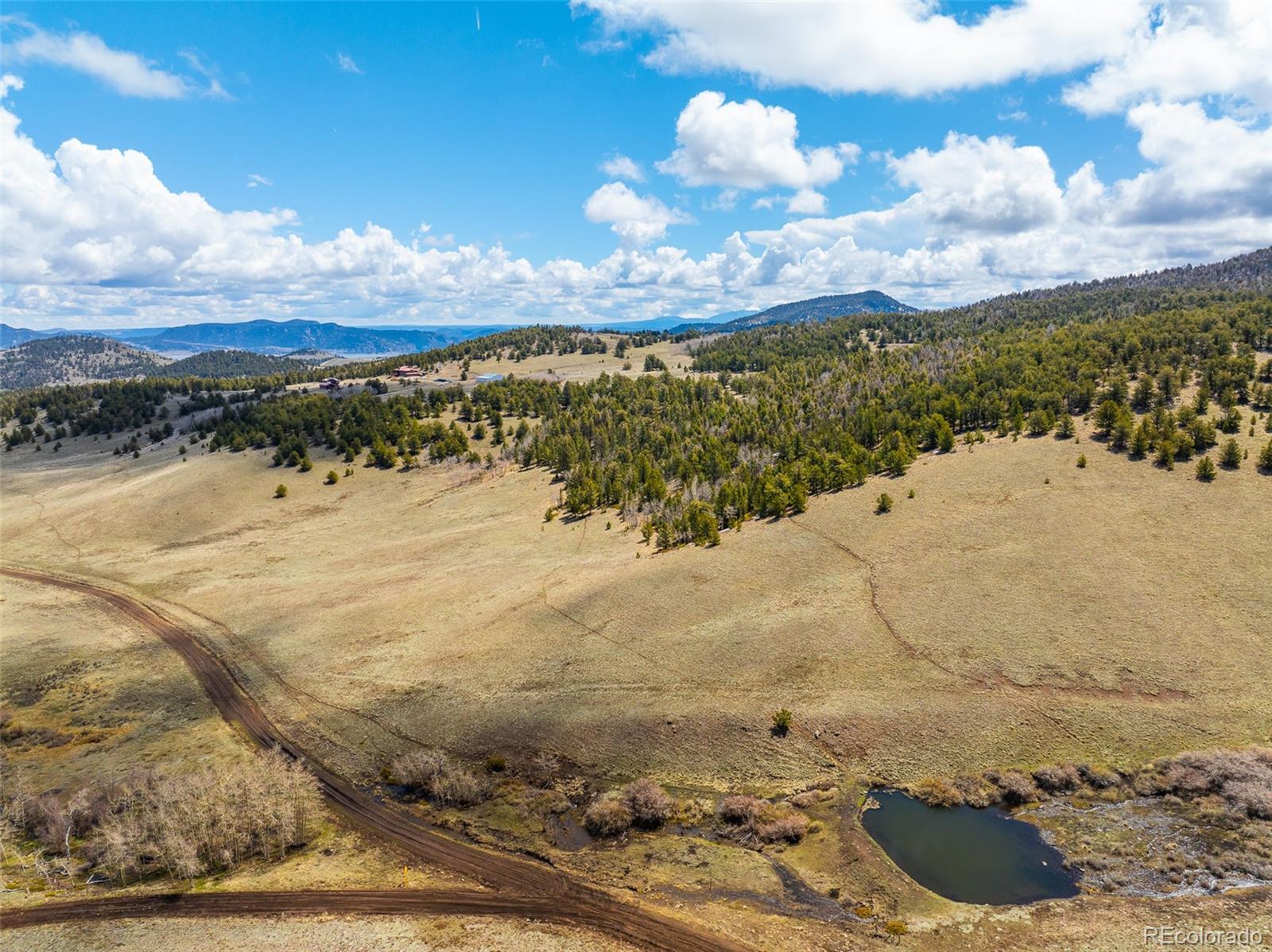 MLS Image #4 for 3498  county road 116 ,hartsel, Colorado