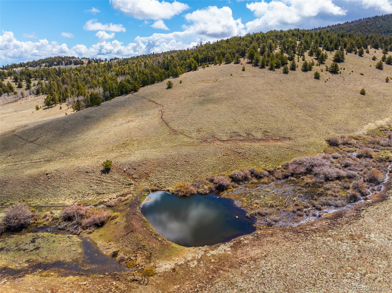 MLS Image #5 for 3498  county road 116 ,hartsel, Colorado