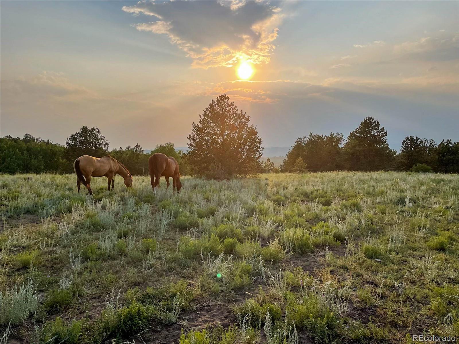 MLS Image #6 for 3498  county road 116 ,hartsel, Colorado