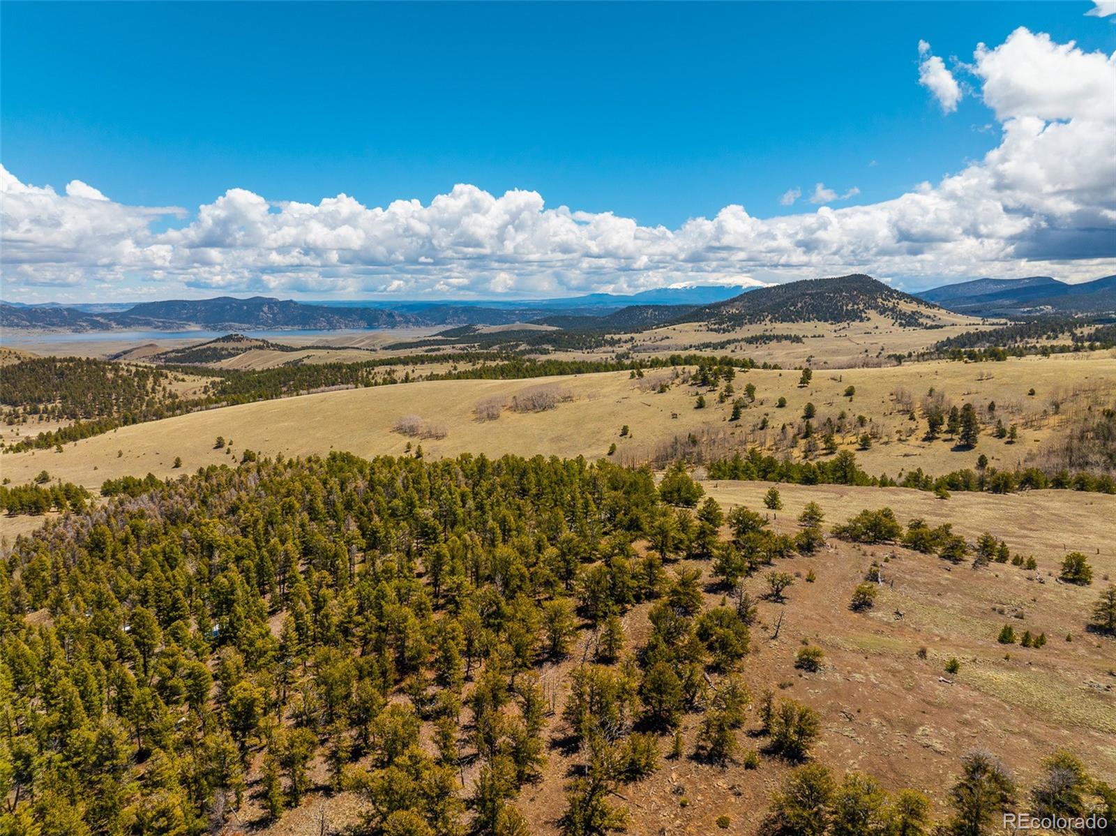 MLS Image #7 for 3498  county road 116 ,hartsel, Colorado