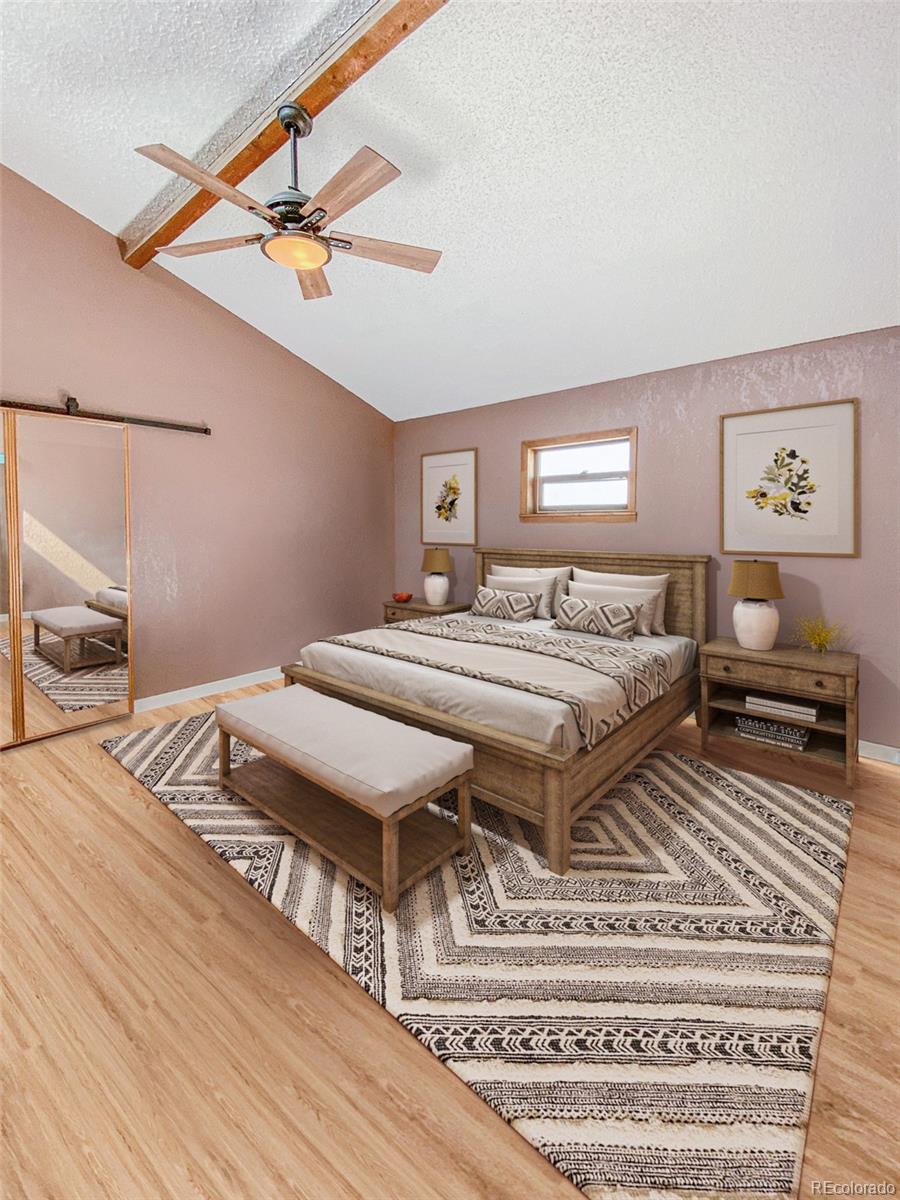 MLS Image #10 for 937  county road 46 ,center, Colorado