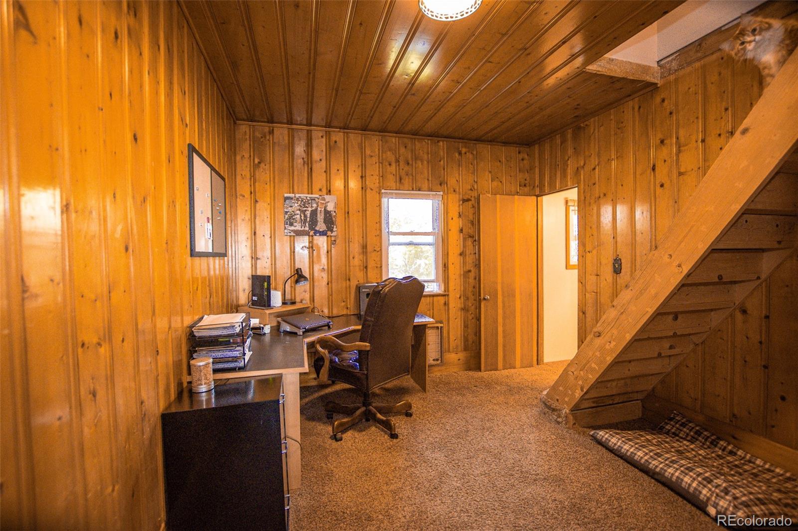 MLS Image #15 for 937  county road 46 ,center, Colorado