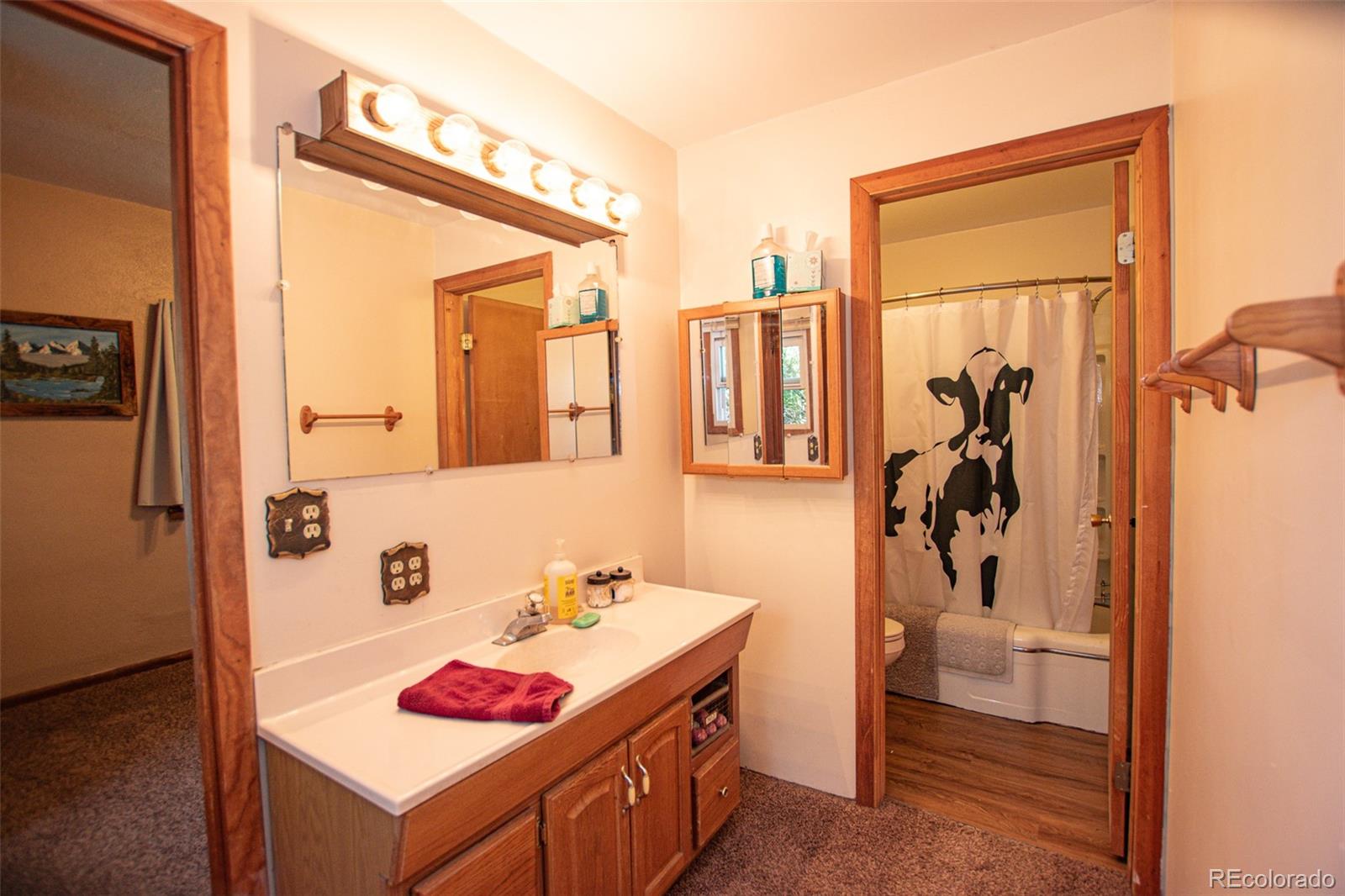MLS Image #18 for 937  county road 46 ,center, Colorado