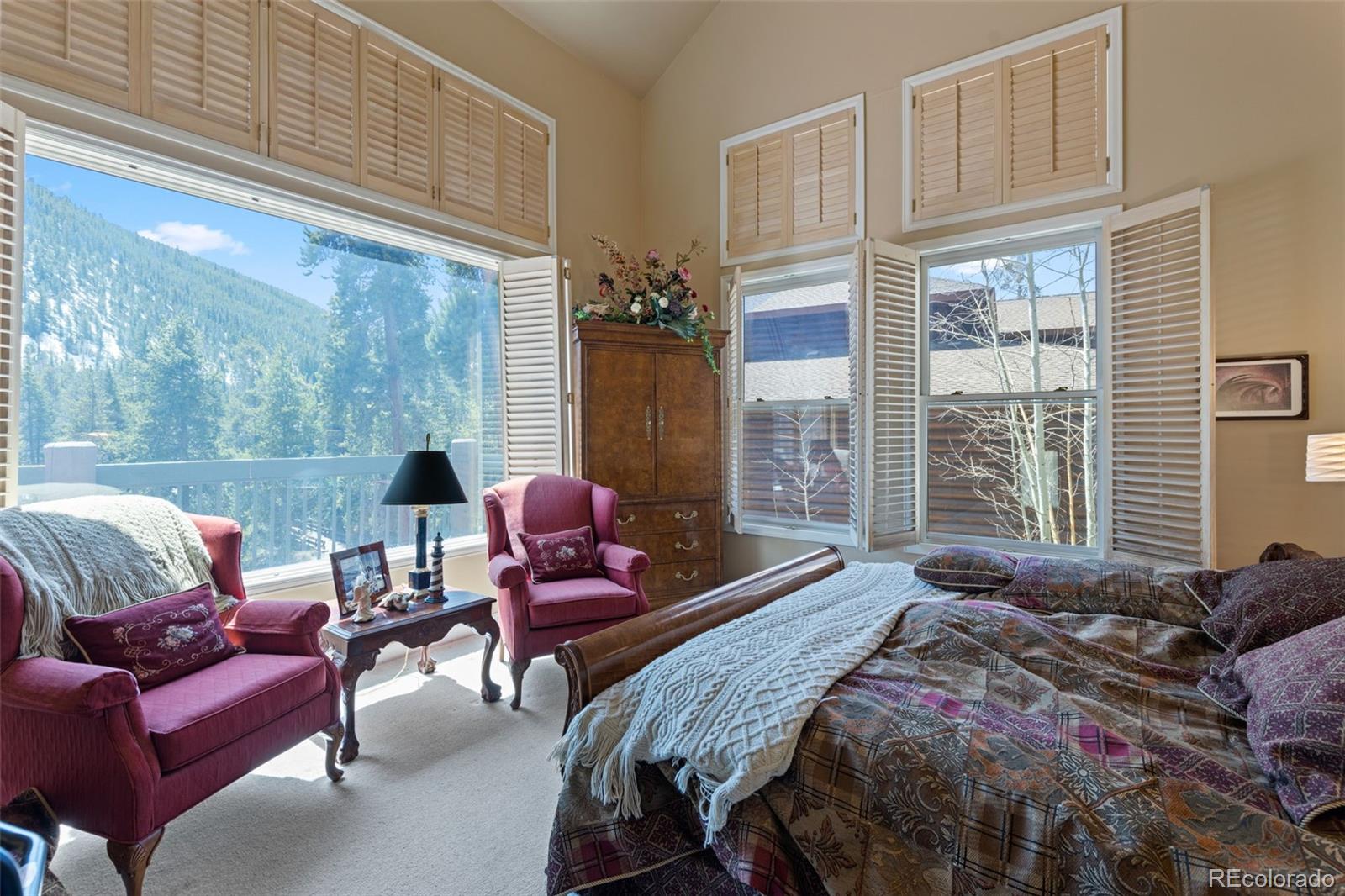 MLS Image #21 for 352  elk crossing lane,keystone, Colorado