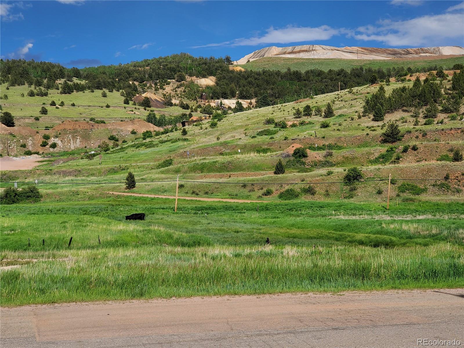 MLS Image #42 for 416 s 2nd street,cripple creek, Colorado