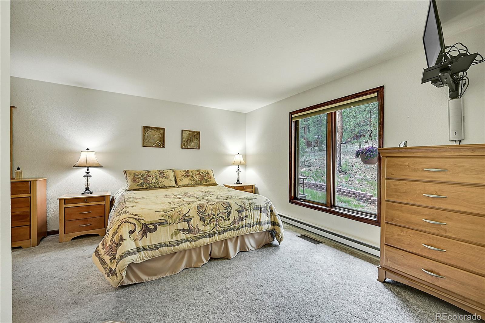 MLS Image #22 for 126  victoria road,pine, Colorado