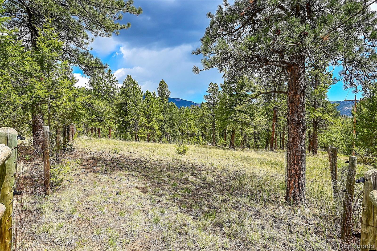 MLS Image #37 for 126  victoria road,pine, Colorado