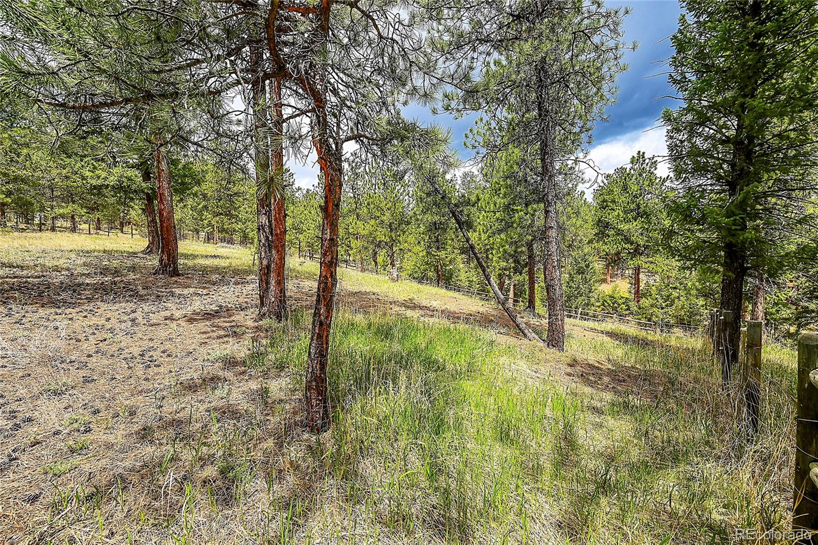 MLS Image #38 for 126  victoria road,pine, Colorado