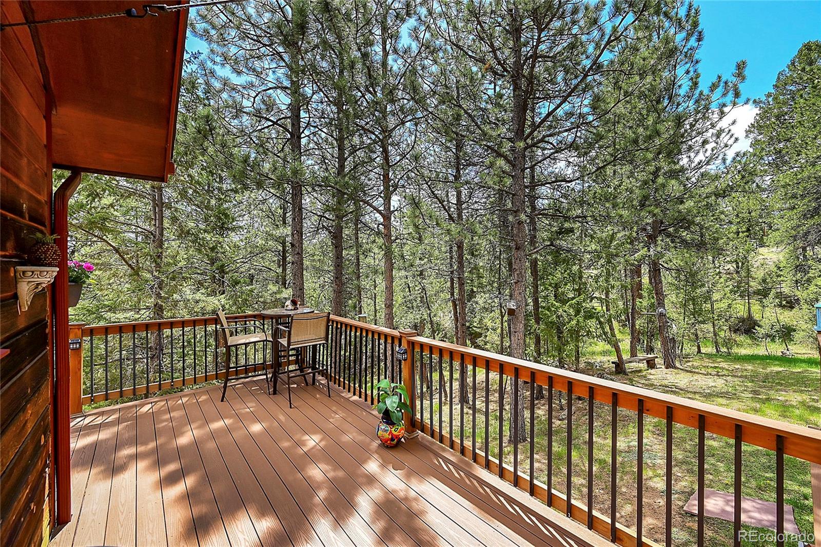 MLS Image #8 for 126  victoria road,pine, Colorado