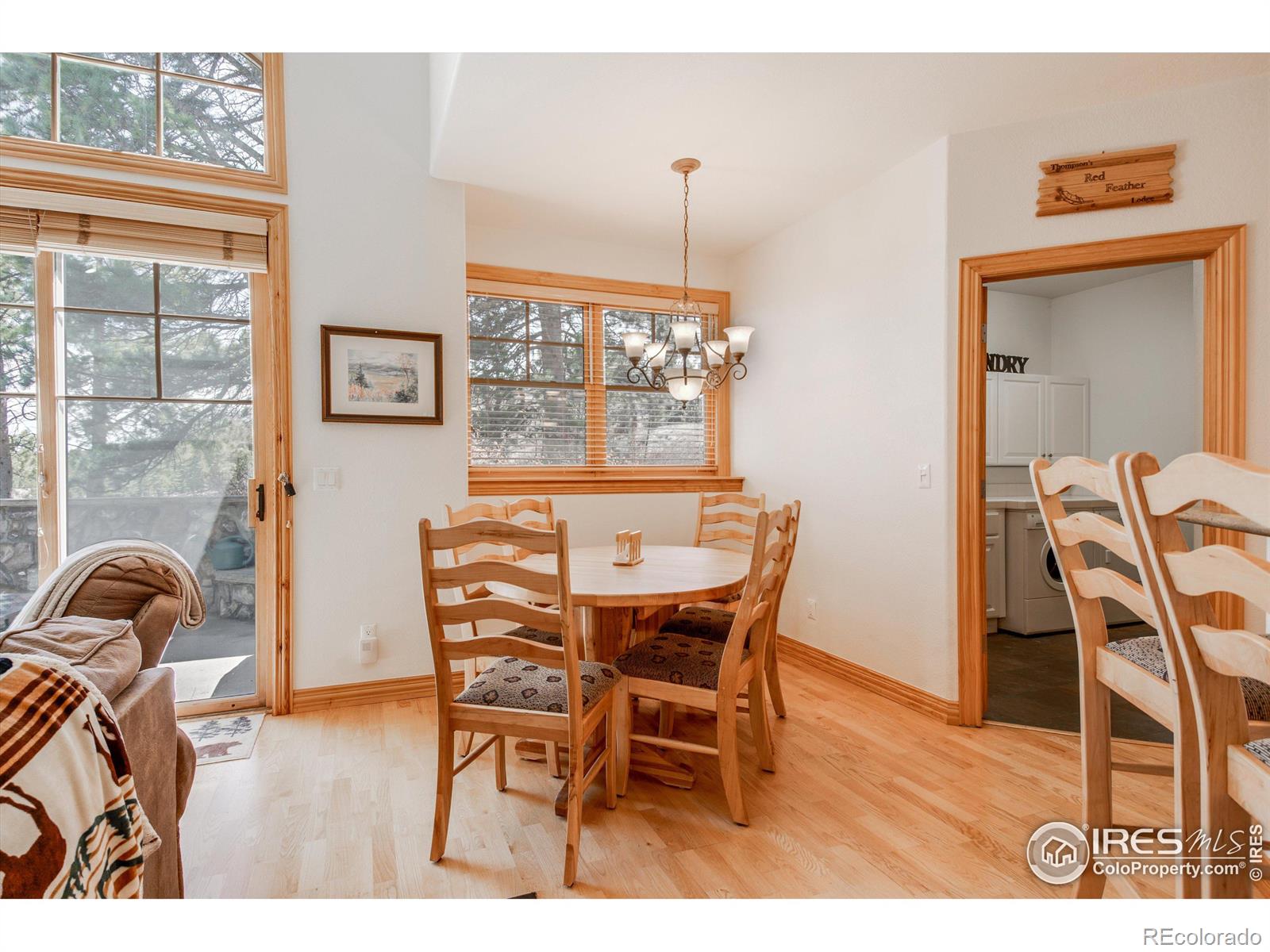 MLS Image #12 for 326  juniper court,red feather lakes, Colorado